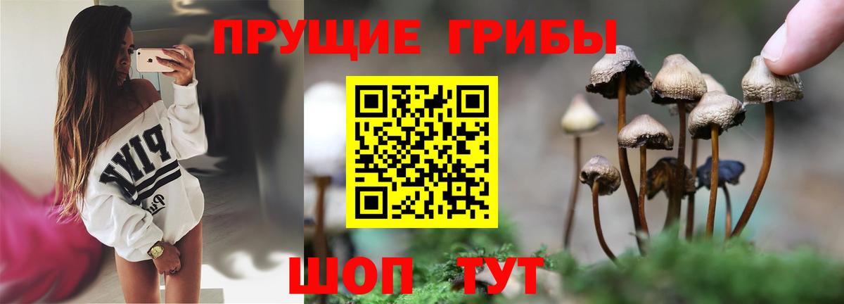 Псилоцибиновые грибы GOLDEN TEACHER Шадринск